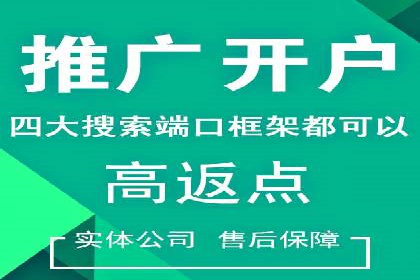 百度优化推广案例剖析：某电商平台的成功之路